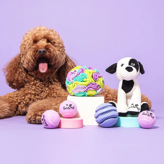 Pet toys