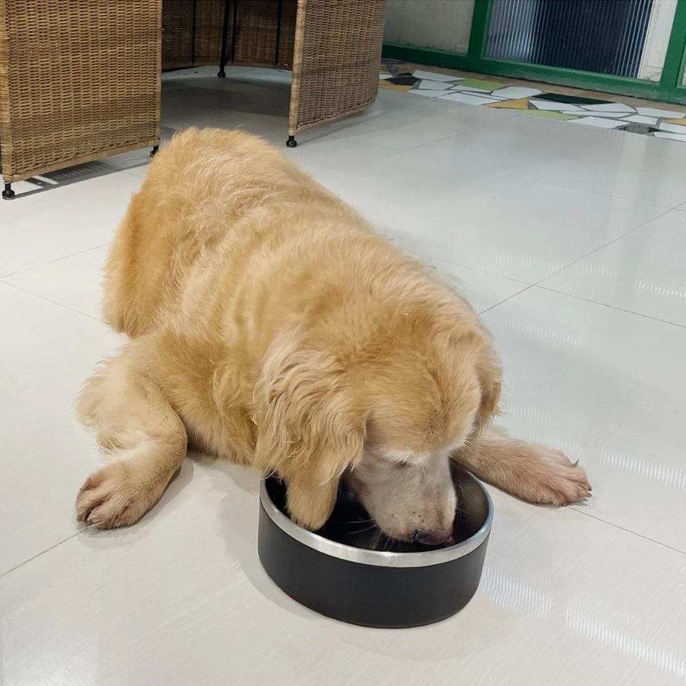 Dog Bowl, Stainless Steel Dog Food And Water Bowl With Non Slip Quiet Bottom, Easy To Clean, Dishwasher Safe, 42oz